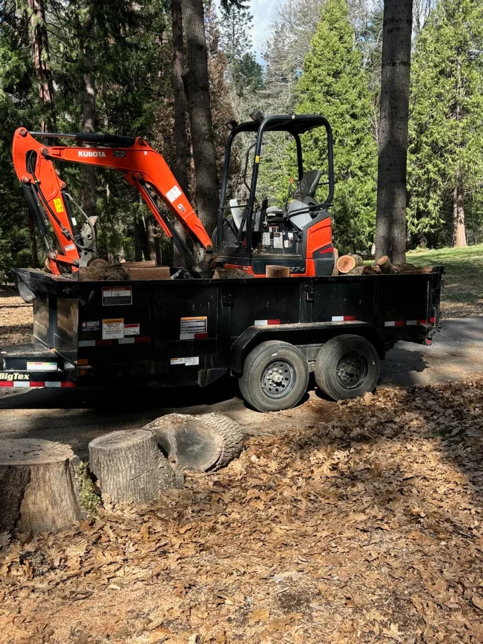 Mini excavator and cut logs loaded onto a dump trailer after tree work in the pines