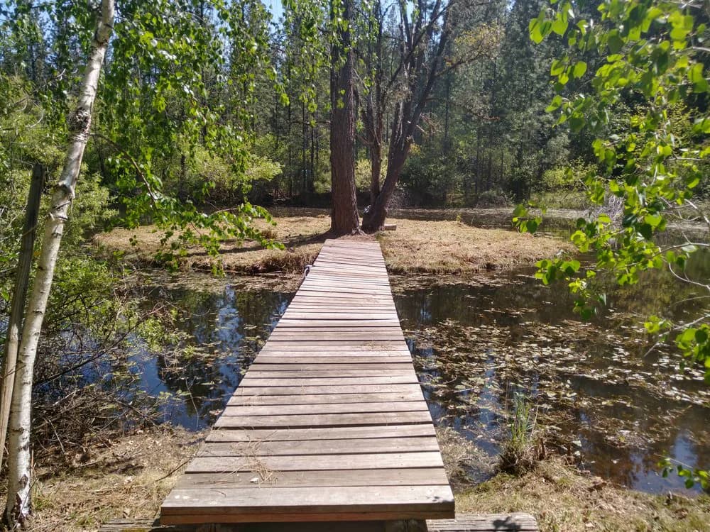 Timber boardwalk crossing a pond to a wooded island on a foothill property