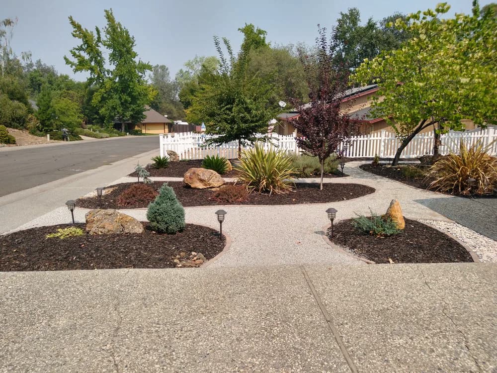 Finished low-water front yard from the street, with new trees, boulders, gravel paths, and mulch beds