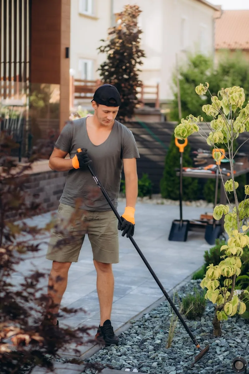 Full Yard Cleanups